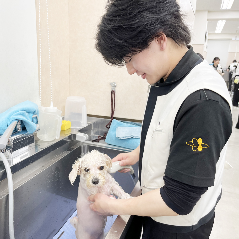 ２年生のトリミング！～シャンプー特集①～